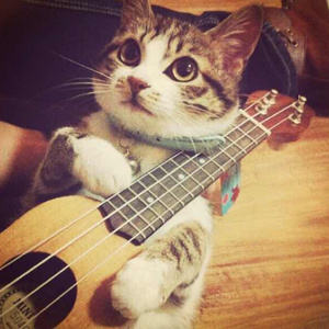 日本Moms交换FacKsexxx
